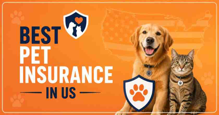 Best Pet Insurance in US