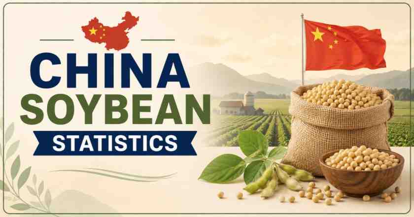 China Soybean Statistics