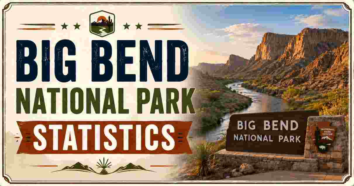 Big Bend National Park Statistics