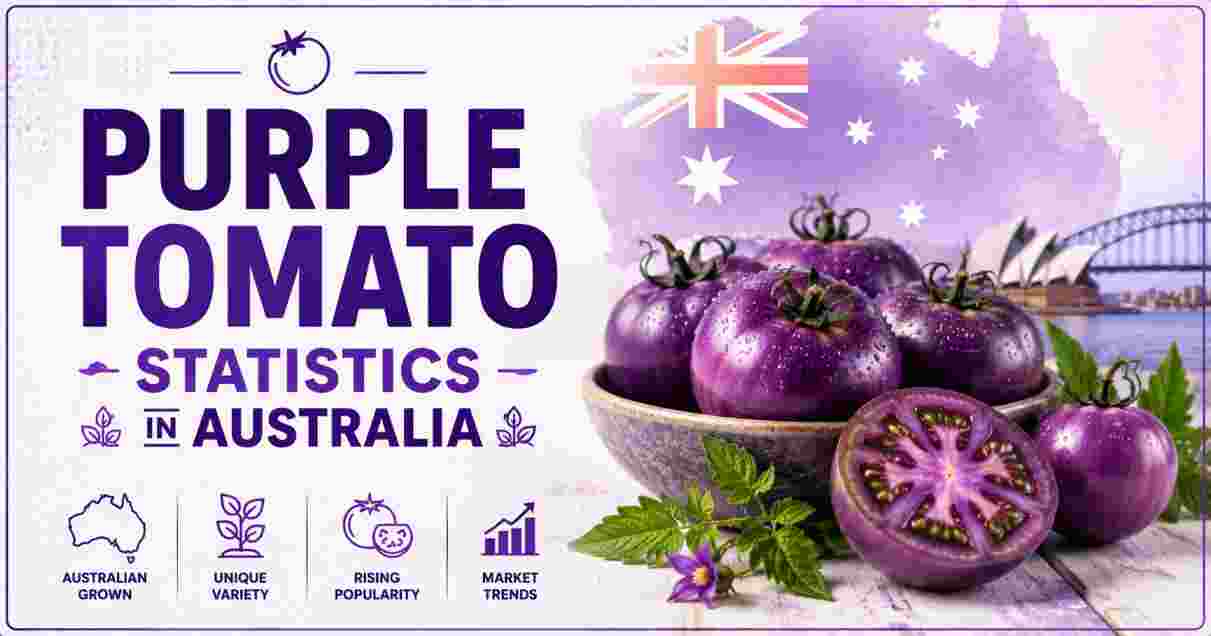 Purple Tomato Statistics in Australia