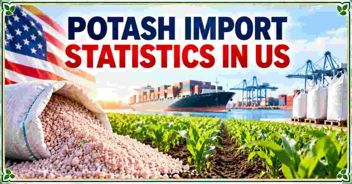 Potash Import Statistics in US