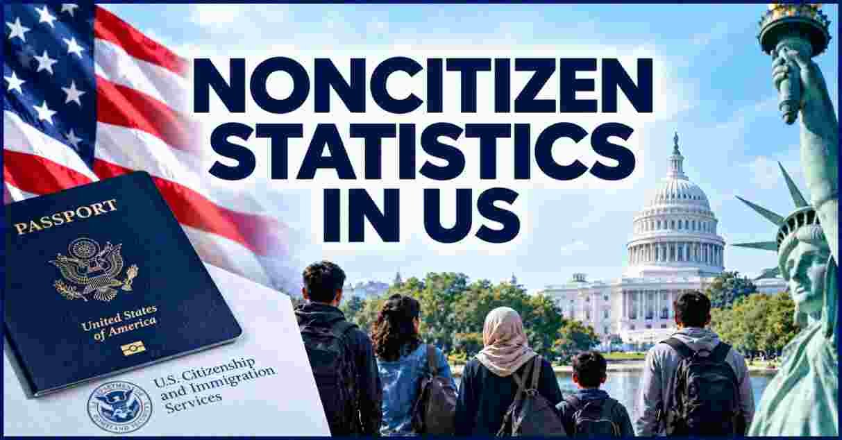 Noncitizen Statistics in US